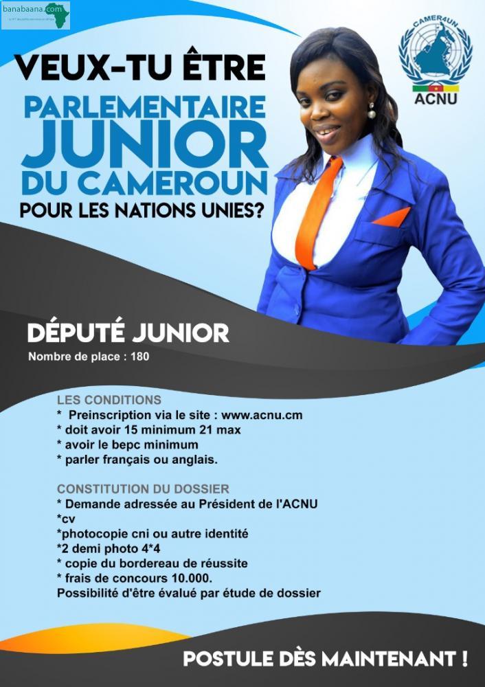 Offres Emploi Recrutement Depute Junior Du Cameroun Littoral Banabaana